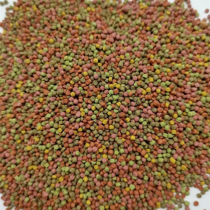 Extruded Feed for Parrot Bird