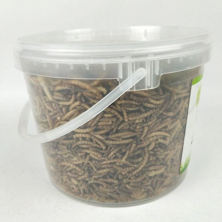 Microwave-Dried Mealworms