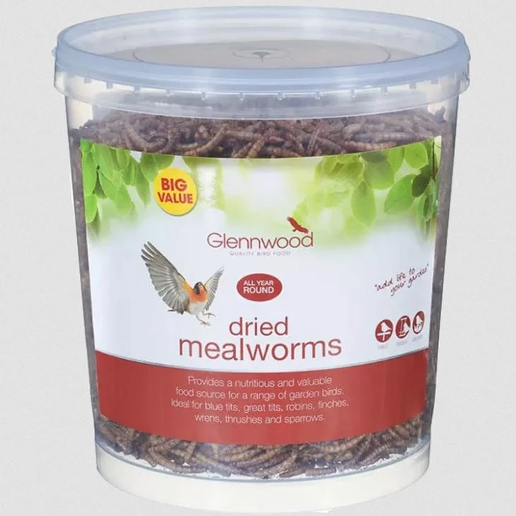 Dried Mealworms