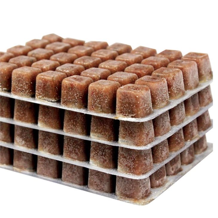 100g Frozen Brine Shrimp Blister Pack