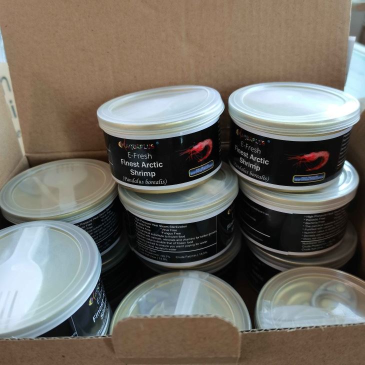 Canned Arctic Shrimps Fish Food best
